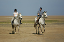 Horse riding at Red Dwarf bay, Anglesey.