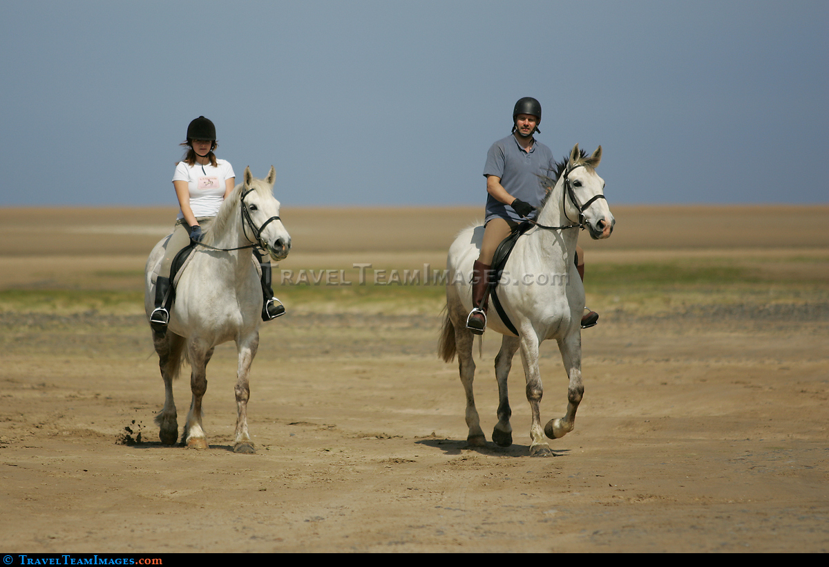 Horse riding at Red Dwarf Bay