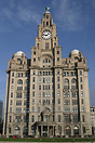 The Royal Liver building facing the Mersey estuary in Liverpool
