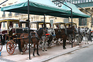 Horse drawn carriages await customers in central Valletta
