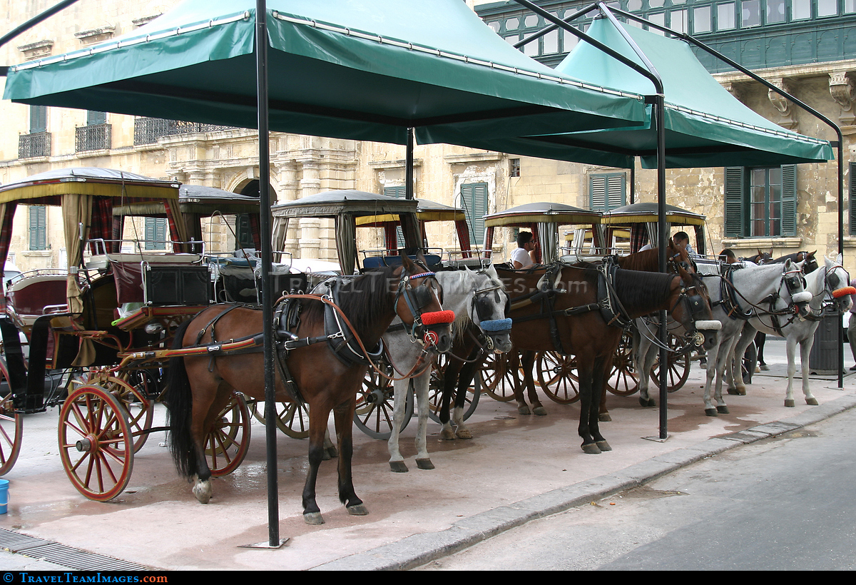 Horse Carriages in Valletta
