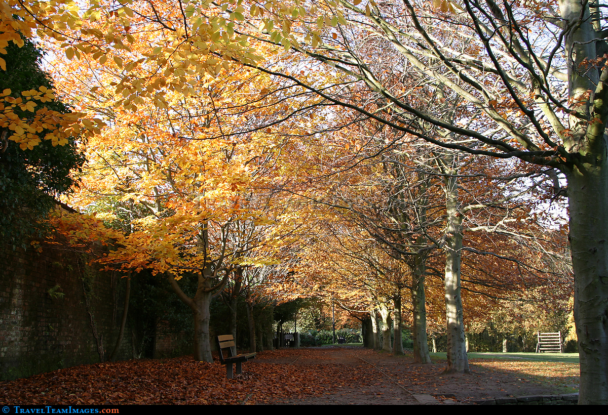 Autumn in Bramhall Park