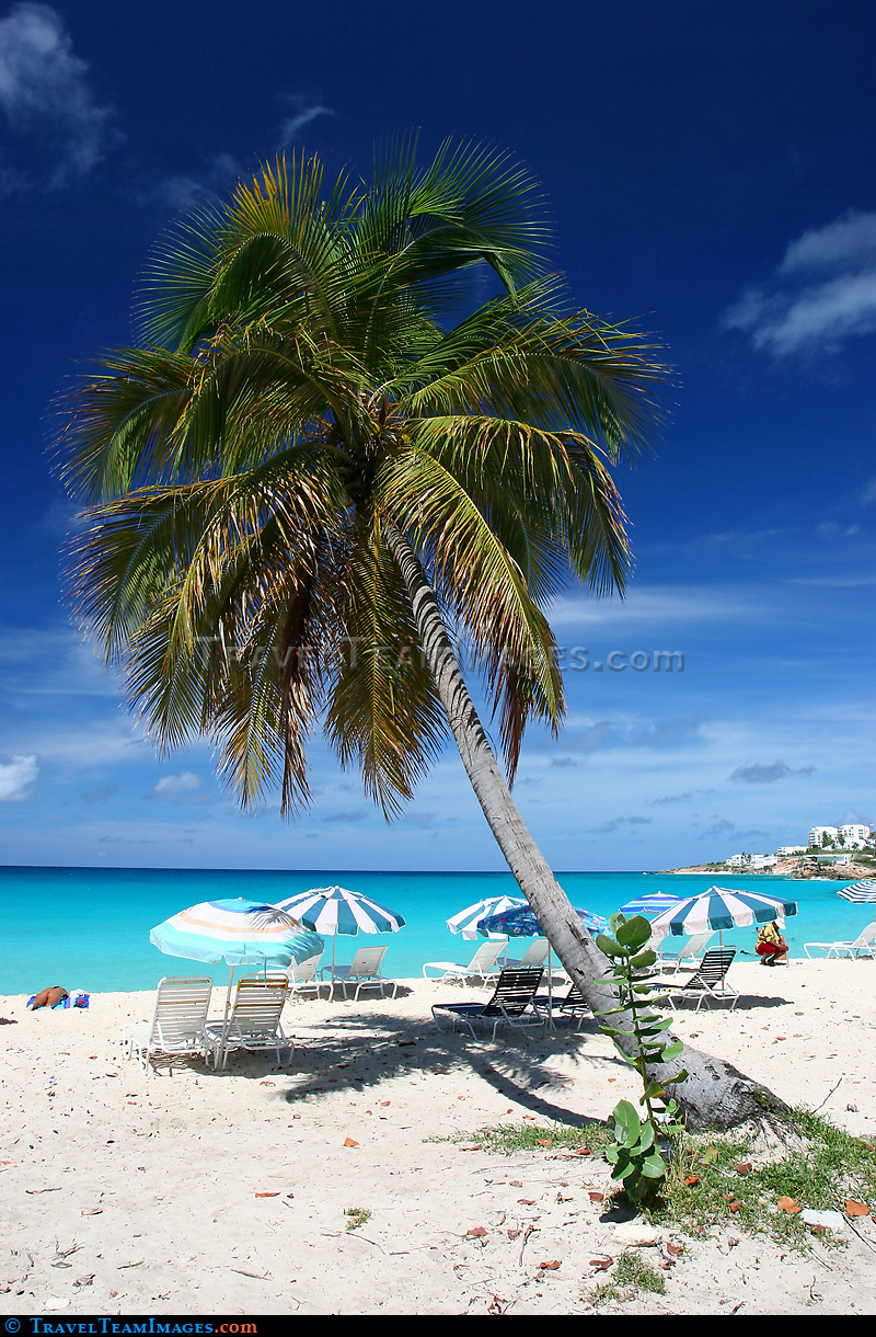 Relaxing Beach Scene