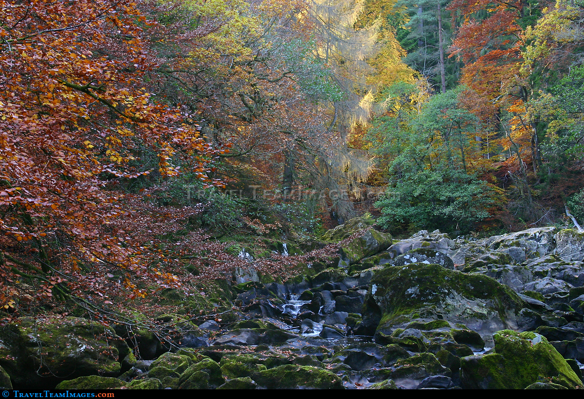 Autumn River, Pitlochry