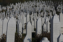 There are a lot of Graveyards from all confessions all over Sarajevo. ...
