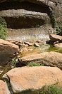 An excellent example of a 'dripping cliff'. Water percolates through t...