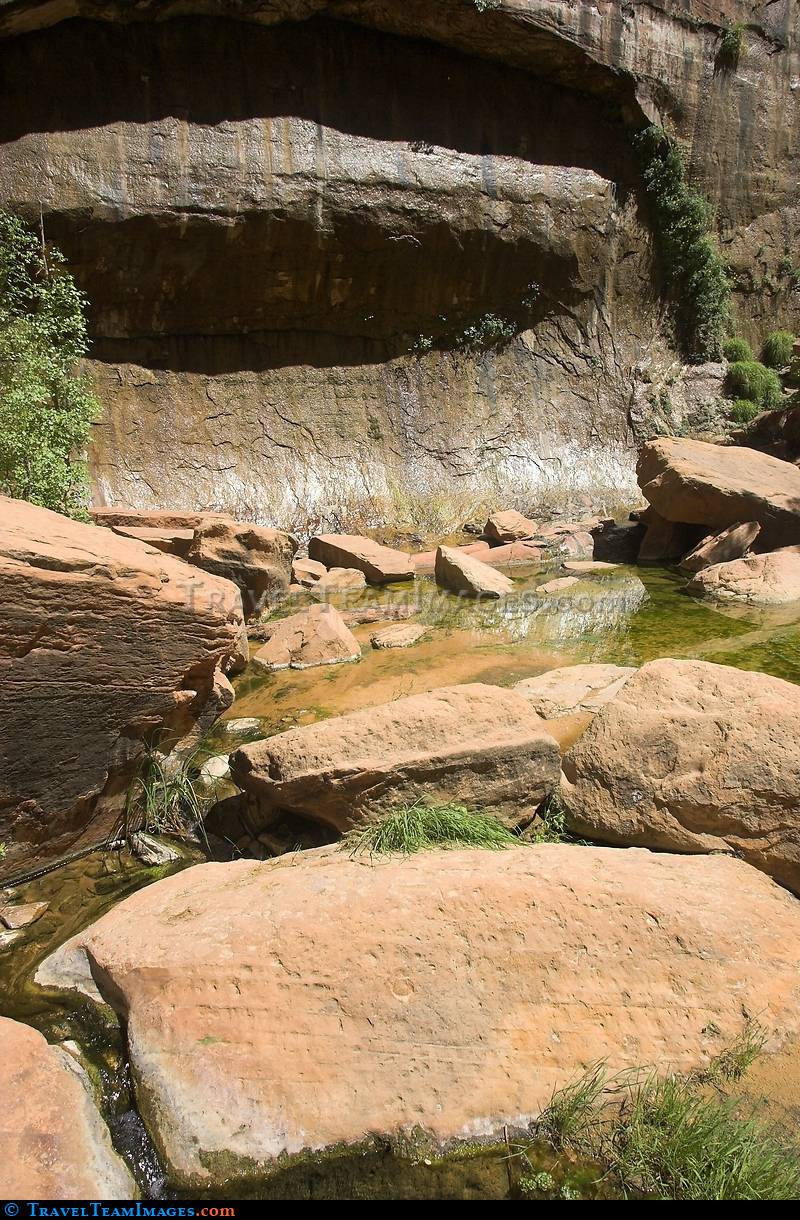 Weeping Wall, Zion Canyon