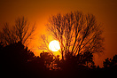 The Sunsets over Copenhagen Suburbs
