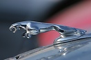 Jaguar leaper hood ornament