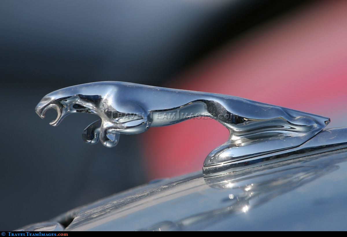 Jaguar car icon