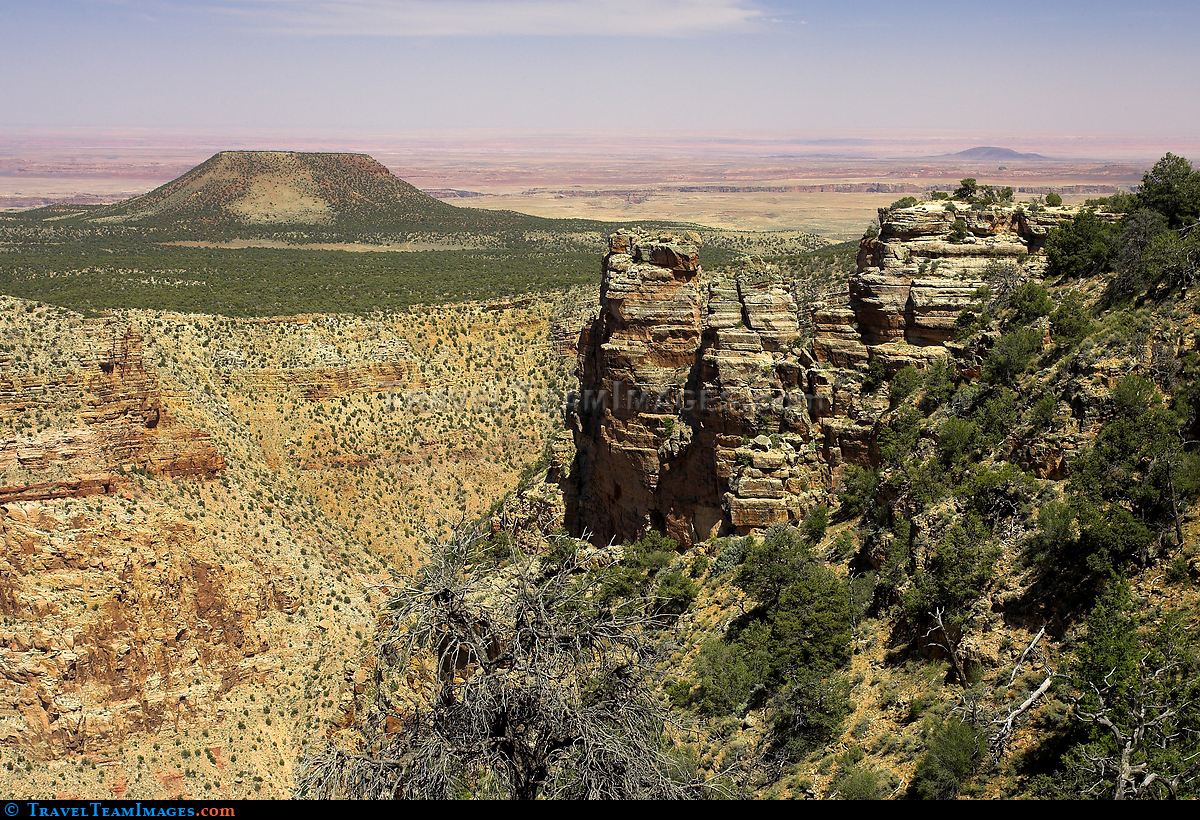 Cedar Mountain