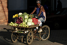 Man delivering fruits and vegetables with his bicycle cart in Old Sant...