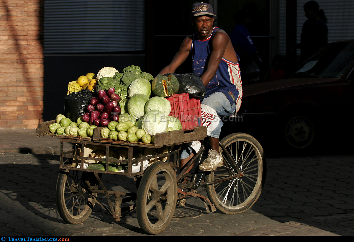 Fruit delivery in Santo Doming