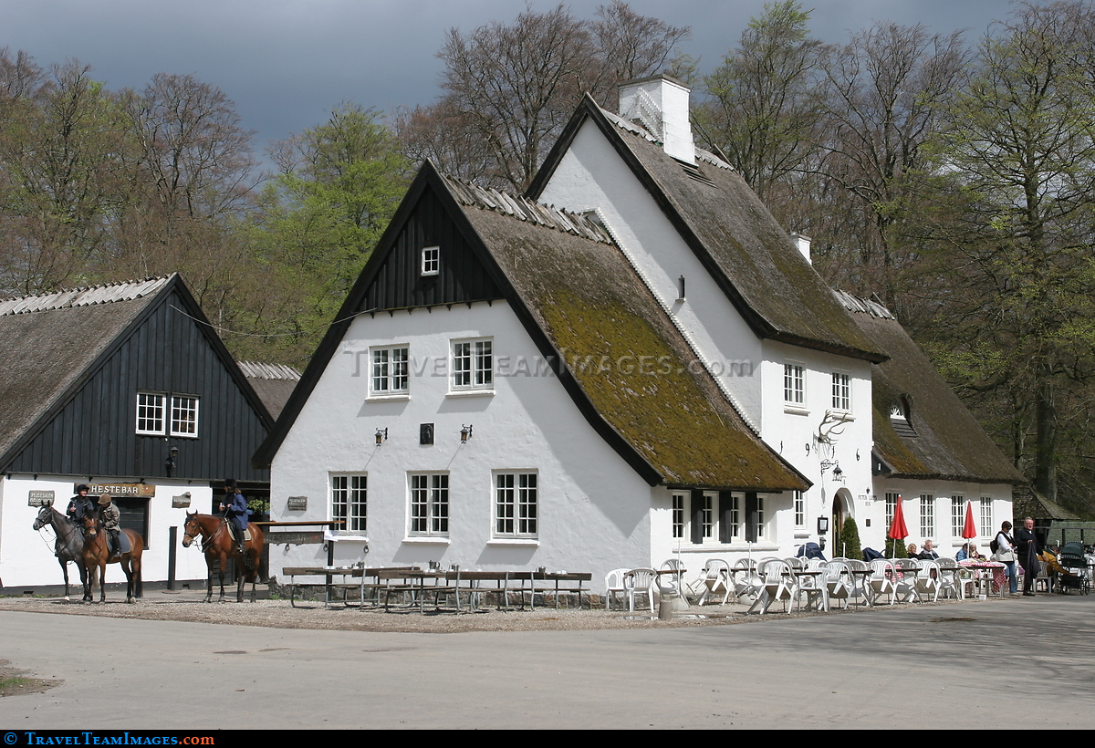 Copenhagen - Horse Rides