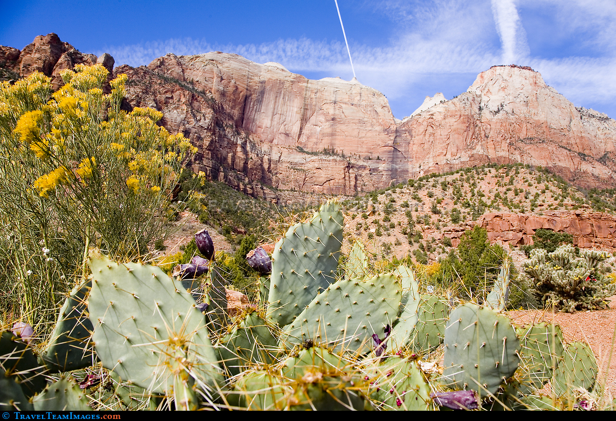 Zion National Park , Utah