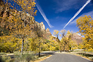Fall colours of Zion National Park