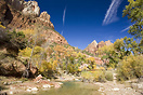 Zion River located in Zion National Park, this is a typical Fall scene