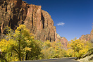 Zion National Park Road located deep in the canyon, Fall colours at th...