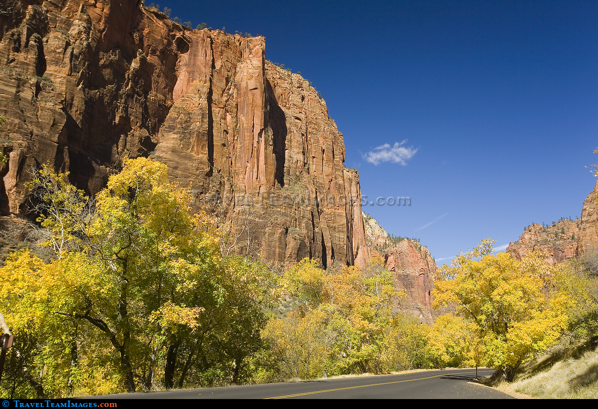 Zion National Park In The Fall
