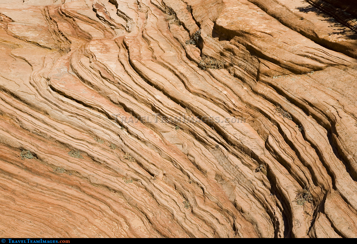 Zion National Park Sandstone,