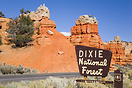 This Forest is located on the Zion Canyon road to the East side of Zio...