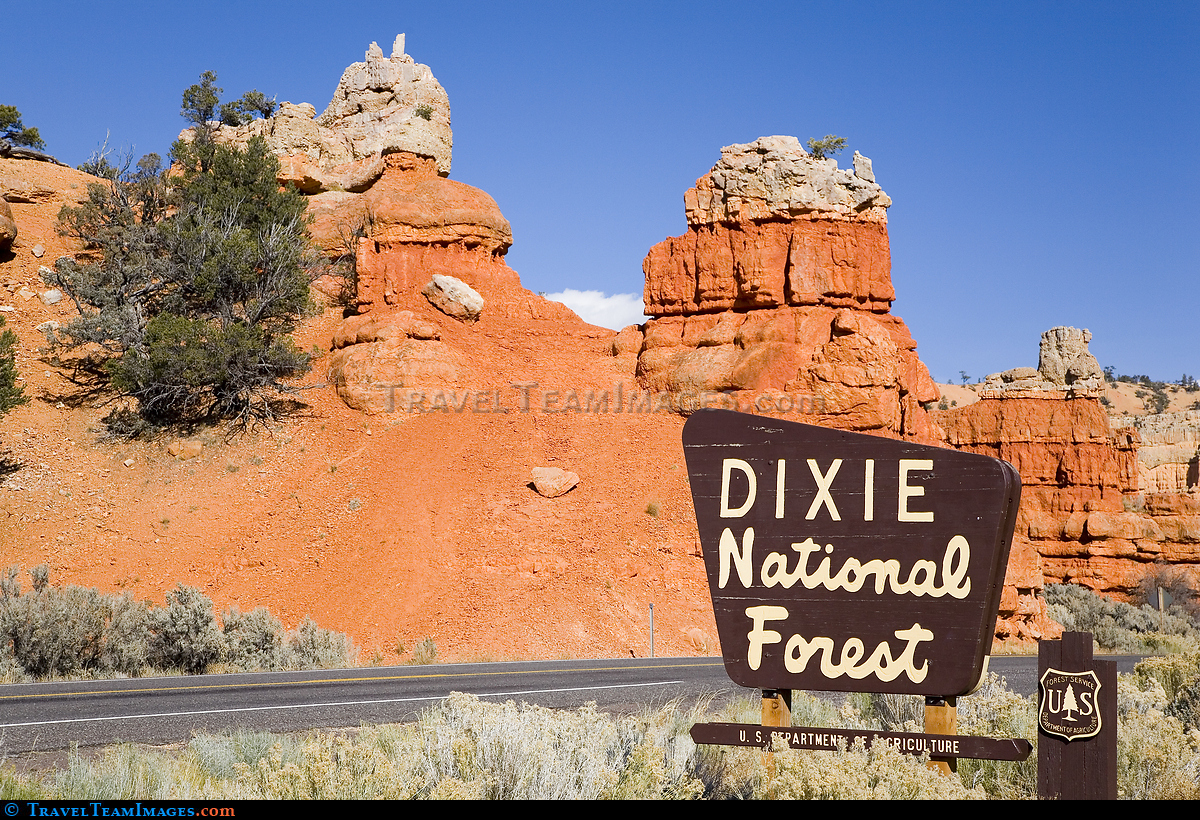 Dixie National Park Forest