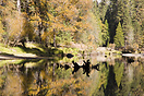 Reflection colours, Yosemite National Park, California