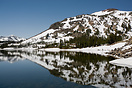 Ellery Lake reflections, Yosemite National Park