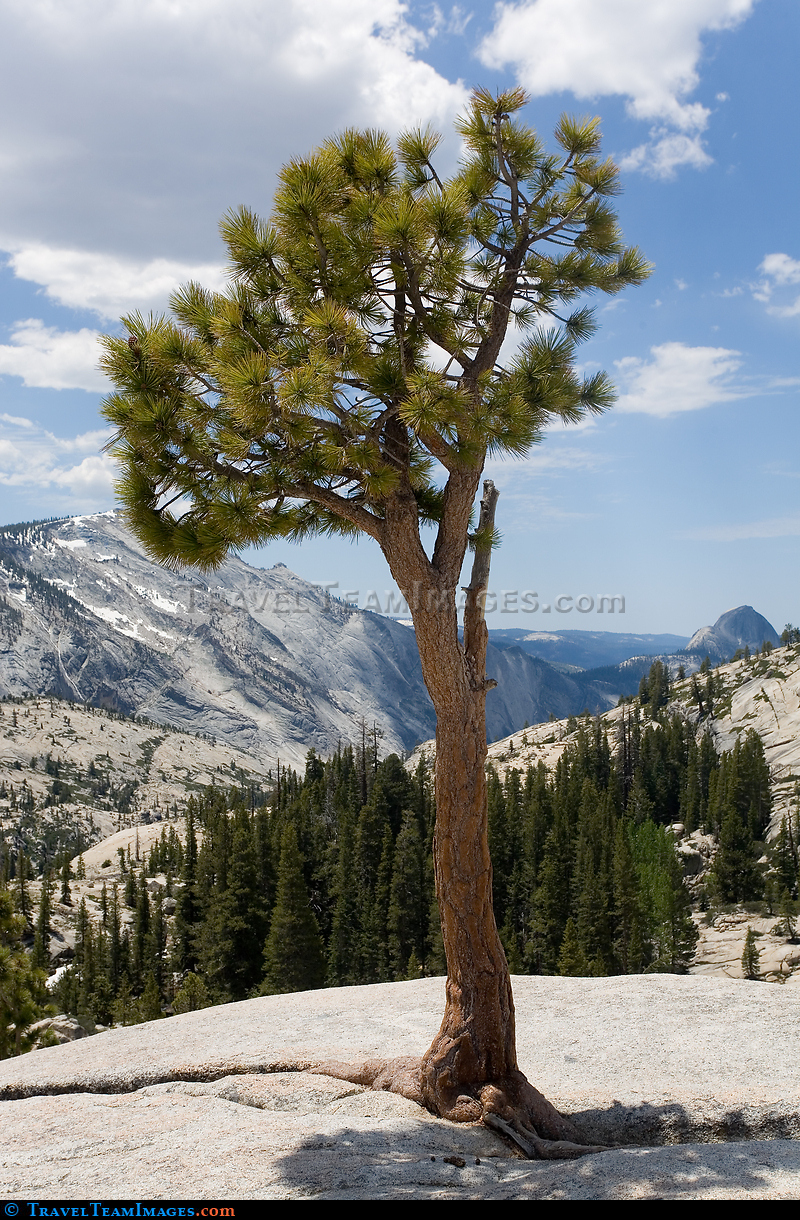 Yosemite National Park, CA