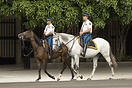 Policemen riding horses in the streets of Buenos Aires.
