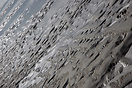 Low tide at Zandvoort, North Holland