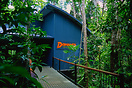 The Daintree Discovery Centre. Far North Queensland, Australia.