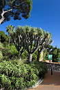 The alameda Botanical Gardens, Gibraltar. The alameda Botanical Gardens, Gibraltar.