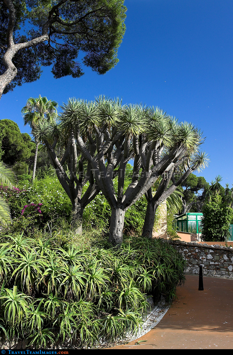 Alameda Gardens, Gibraltar