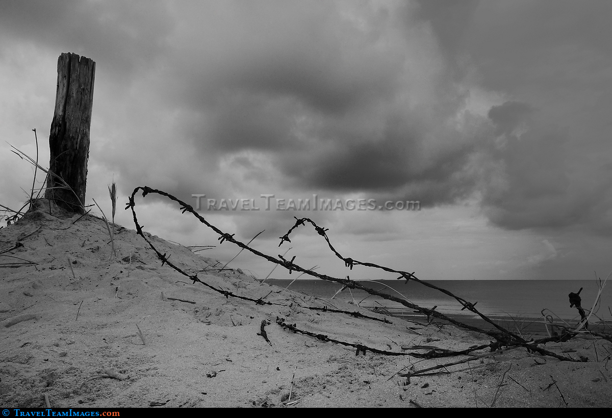 Barbed Wire, Omaha Beach