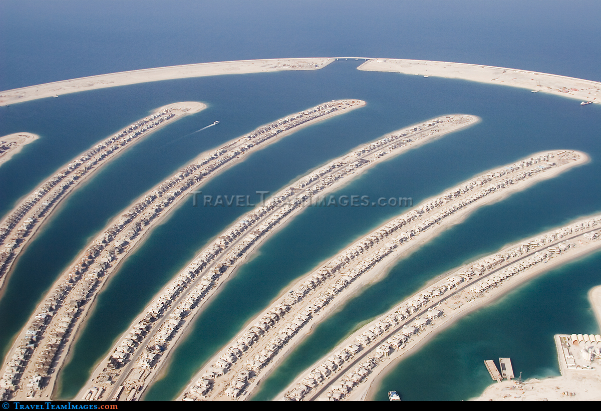 Palm Deira