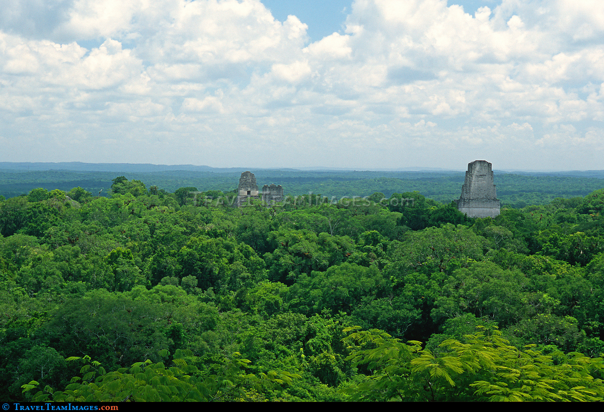 Tikal Ruins