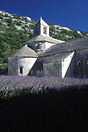 The famous Abbey of Senanque in the hills of the Provence. Founded in ...