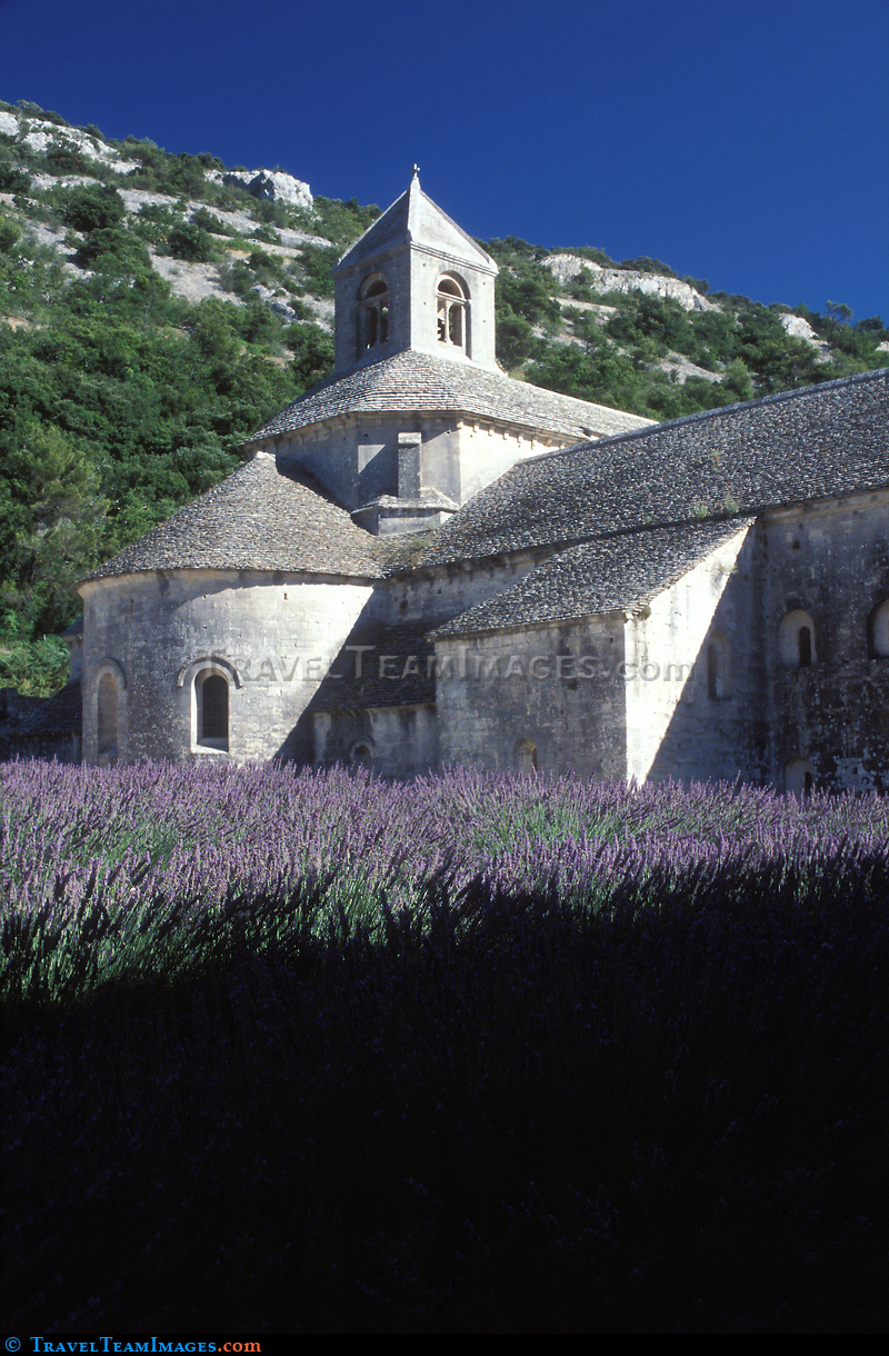Senanque Abbey