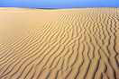 These sand dunes were formed in the Glacial Period, 200,000 years ago ...