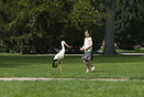 White stork and girl, Parc de l'Orangerie, Strasbourg