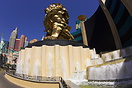 The Golden MGM Lion stands outside the MGM Grand hotel. The worlds lar... The Golden MGM Lion stands outside the MGM Grand hotel. The worlds lar...