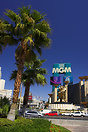 The MGM Grand seen from the park outside the Tropican casino. The road... The MGM Grand seen from the park outside the Tropican casino. The road...
