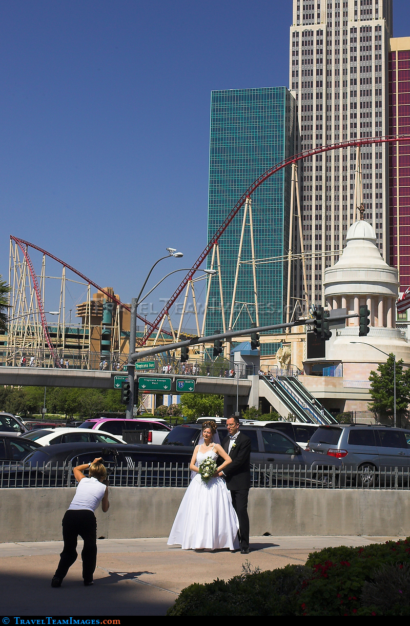 Wedding Photos