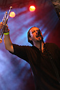 Musician performs during the Sydney Festival