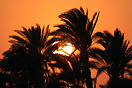 Sunset by the Nile River