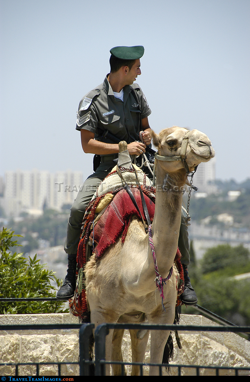 Soldier and camel
