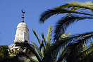 Turret and Palms, Jerusalem