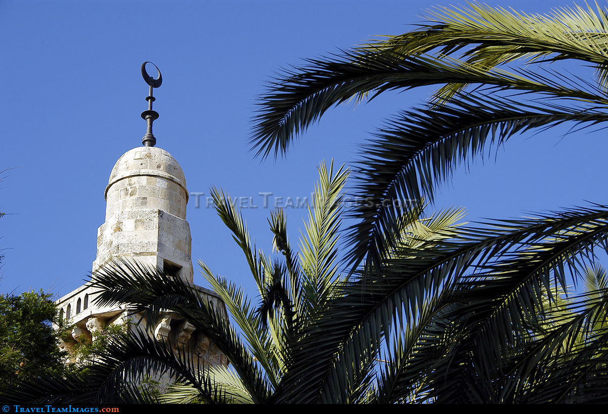 Turret and Palms