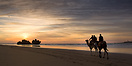 Camels on Essaouira's beach